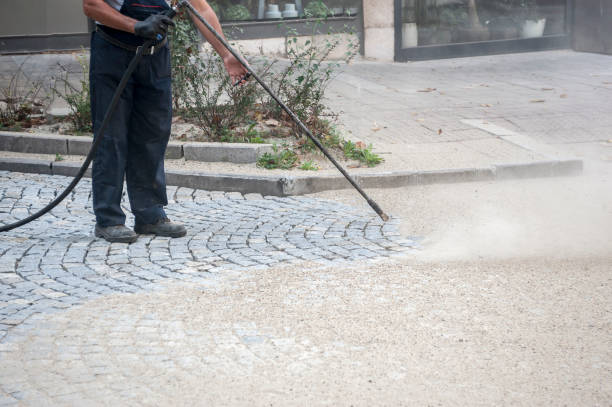 Best Animal Enclosure Cleaning  in Auburn, ME